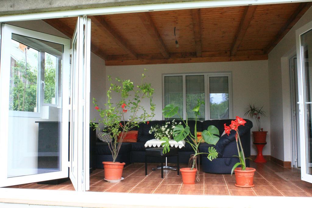 Busta House Hotel Bogdan Vodă Exterior foto