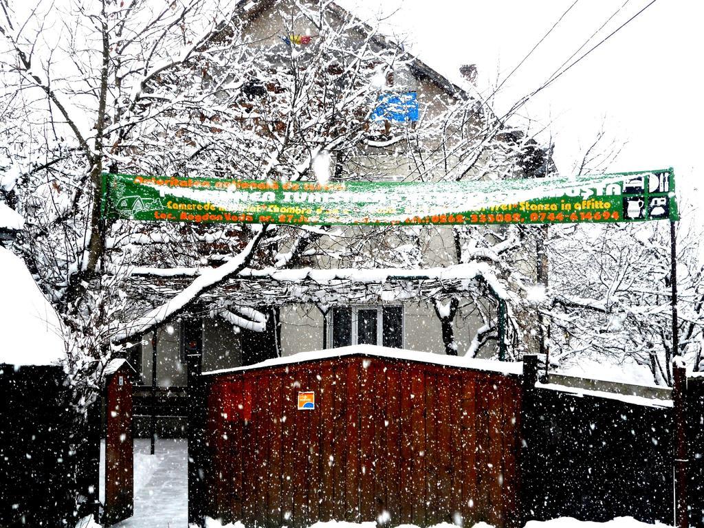 Busta House Hotel Bogdan Vodă Exterior foto